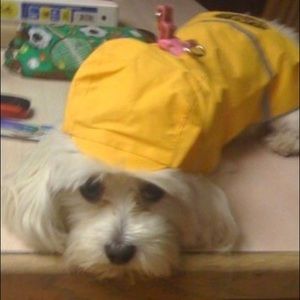 Meet your Posher, Derly